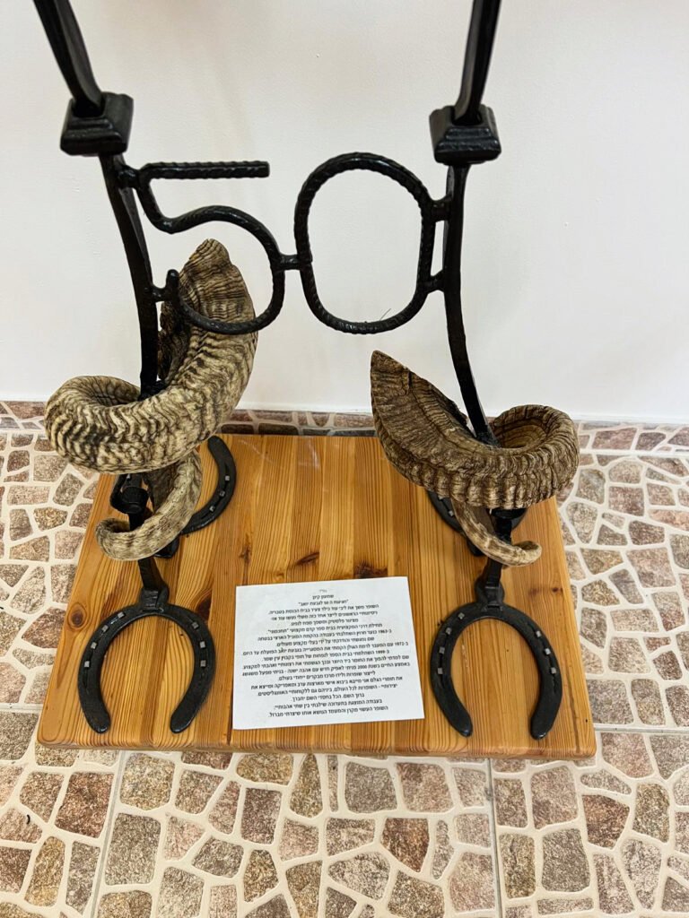 WhatsApp Image 2025 06 27 at 15.08.28