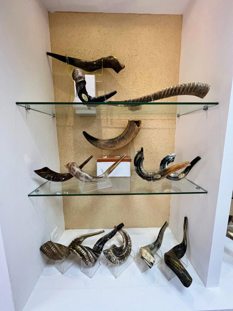 WhatsApp Image 2025 06 27 at 15.08.29 3